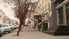 На улице Московской пензенцев удивило и порадовало красное дерево