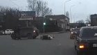 Момент ДТП с Suzuki Vitara и скутером на улице Долгова попал на видео