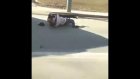 В Пензе драка двух мужчин на проезжей части попала на видео