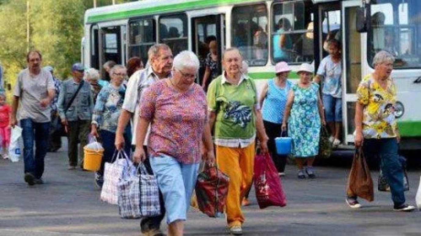 Г апреля пенсионерам. Дачный автобус. В общественном транспорте летом. Пенсионеры в автобусе. Дачники в автобусе.