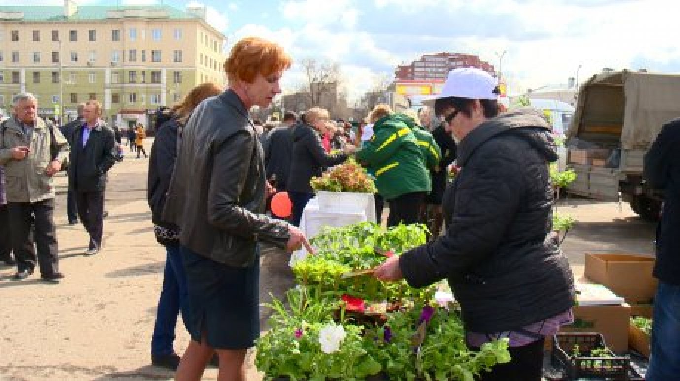 Пензенских дачников приглашают на улицу Славы на «Сезон уДачи»