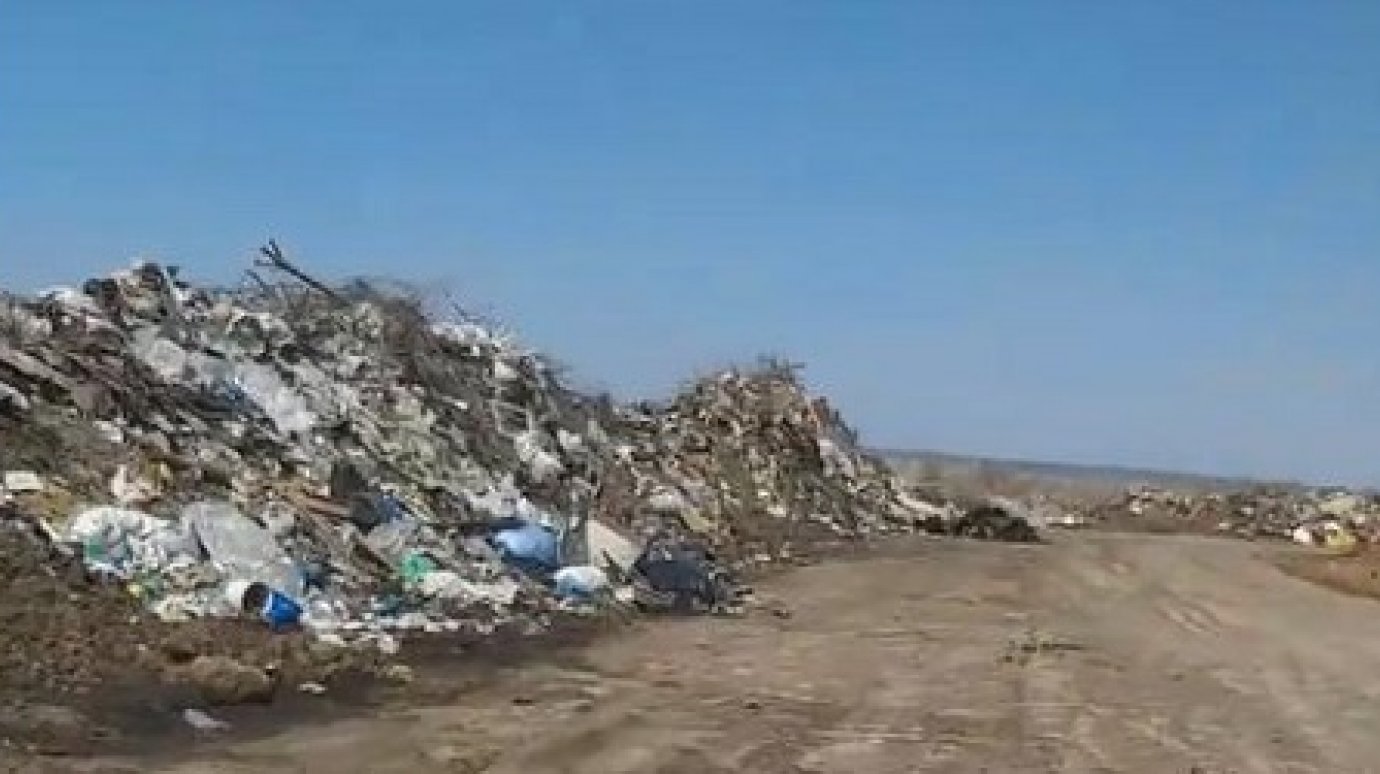 Под Чемодановкой свалены горы бытовых отходов