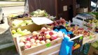 В Пензе будут бороться с несанкционированной торговлей овощами