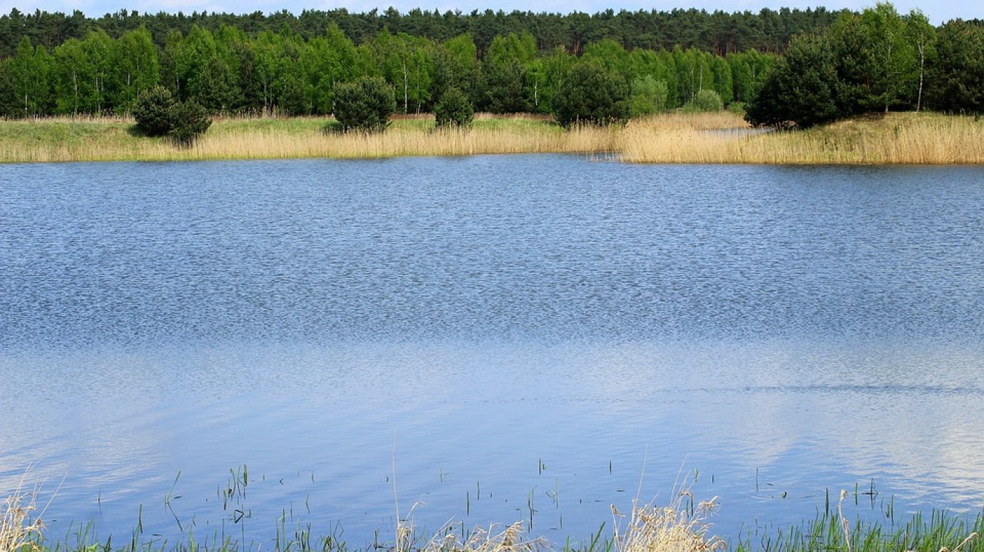 В Пензенской области водолазы обследуют дно водоемов