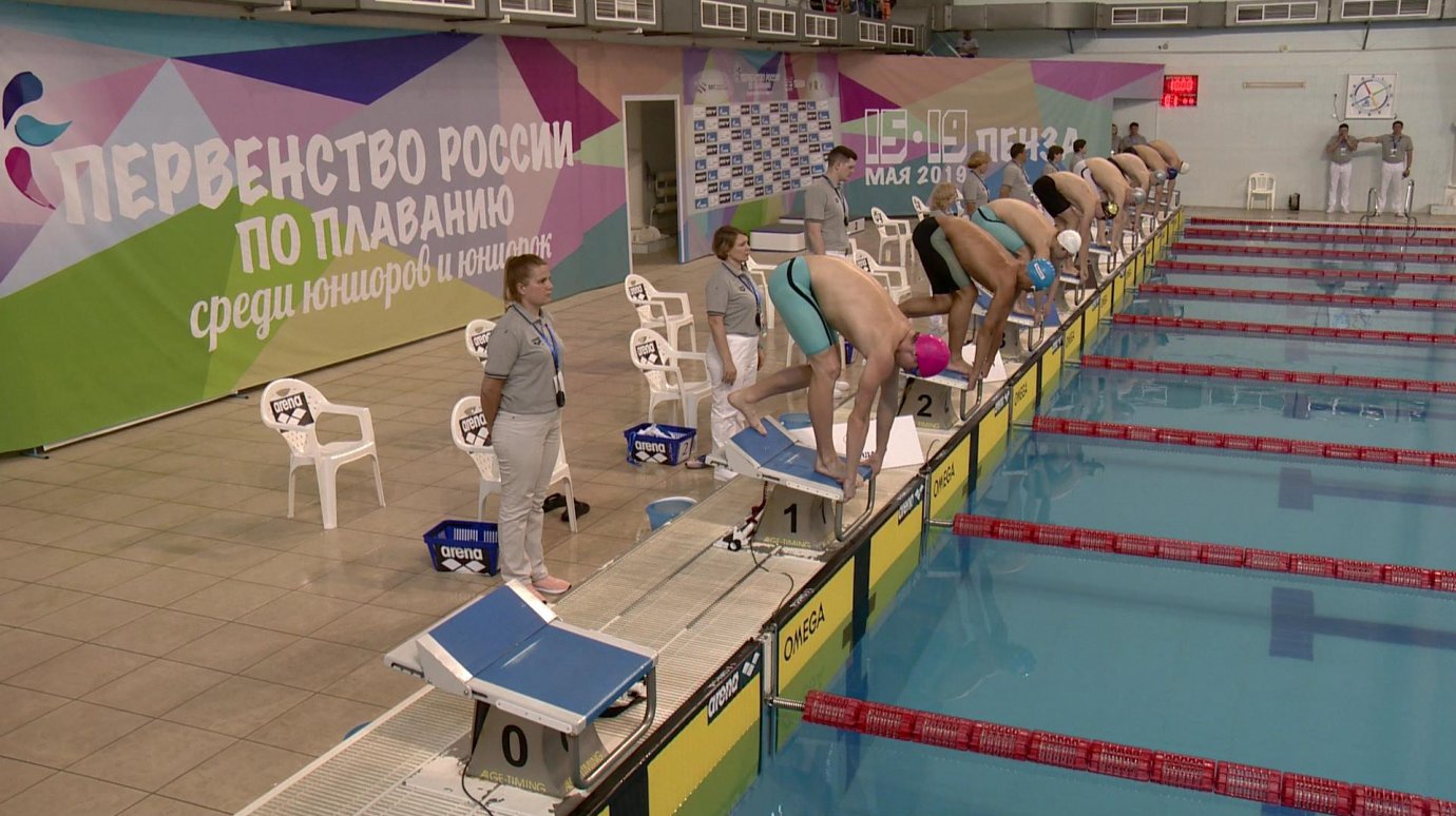В Пензе соревнуются пловцы из 66 российских регионов