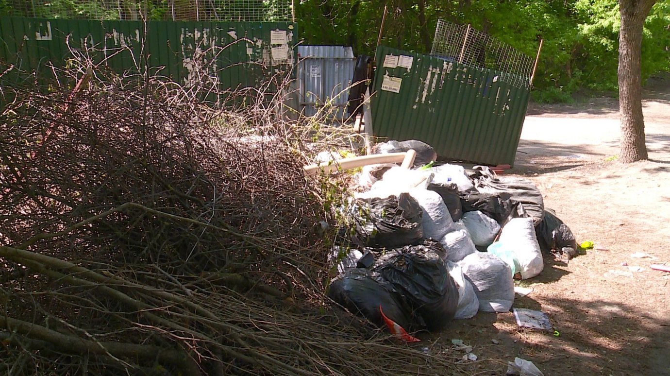 Пензенцы недовольны качеством уборки мусора на улице Попова