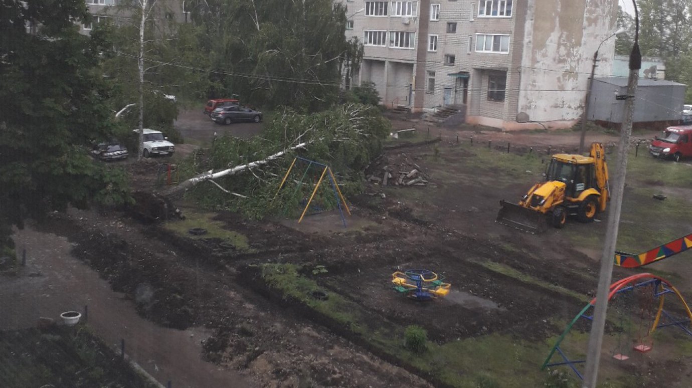 На улице Космонавтов в Каменке деревья рухнули на машины