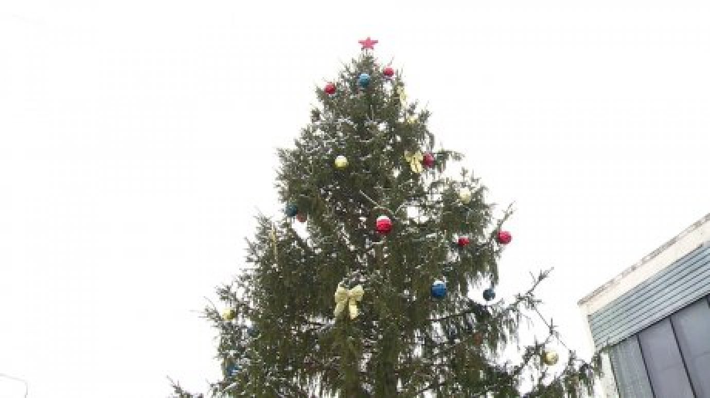 В Пензе управление ЖКХ раздробило сделку на украшение новогодних елок