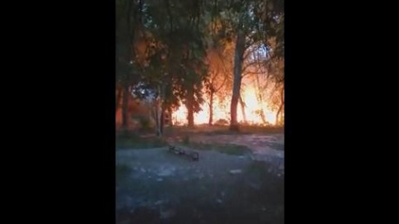 Пензячка рассказала подробности пожара в проезде Павлова