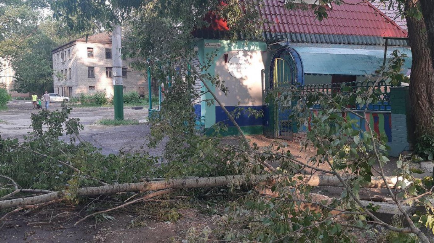 Разыгравшаяся в Пензе гроза повалила несколько деревьев