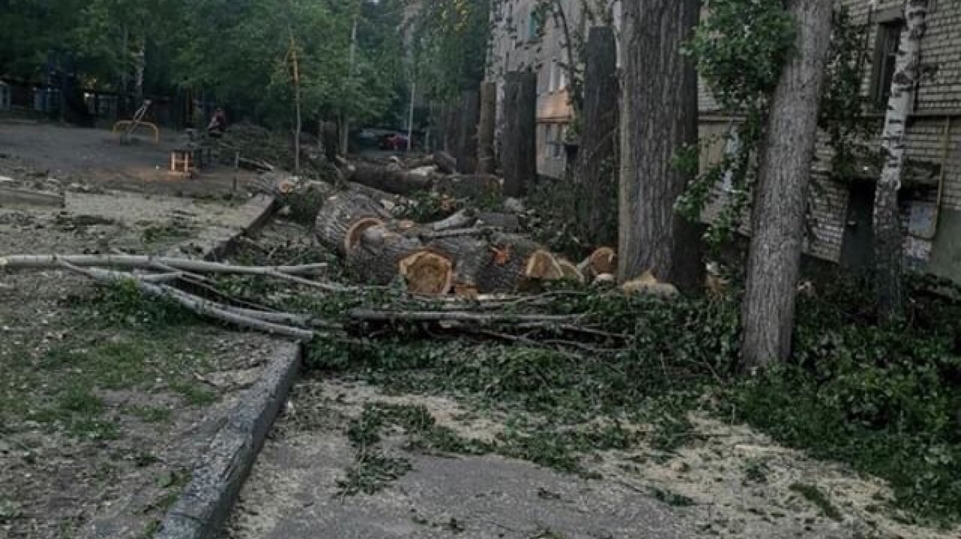 На улице Минской спиленные деревья бросили на пешеходной дорожке