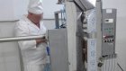 В Сосновке осужденные получили и расфасовали более 80 тонн молока