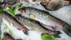 В Пензе продавщица накупила рыбы по забытой клиентом карте