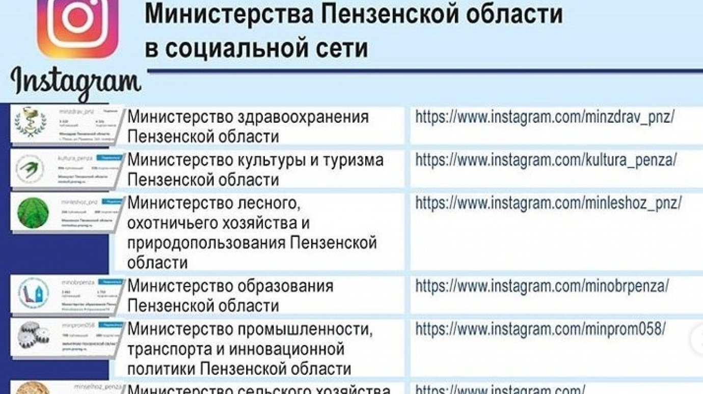 У всех управлений и комитетов области появился аккаунт в Instagram