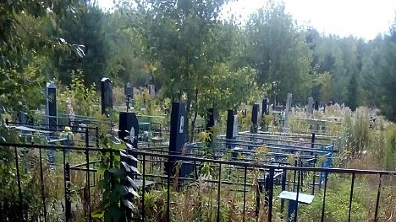 На зареченском кладбище вандалы осквернили могилу