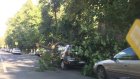 На улице Карла Маркса дерево накрыло припаркованную на дороге машину