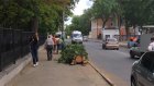 Рухнувшее на улице Лермонтова дерево оперативно убрали