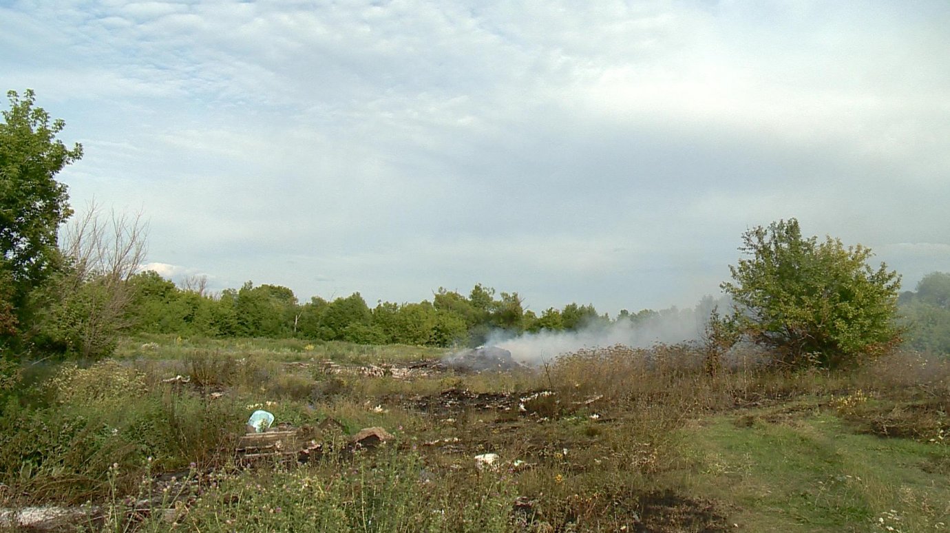 В поселке Мичуринcком заполыхали трава, деревья и мусор