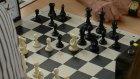 В Пензе прошел турнир по молниеносным шахматам на призы В. Супикова