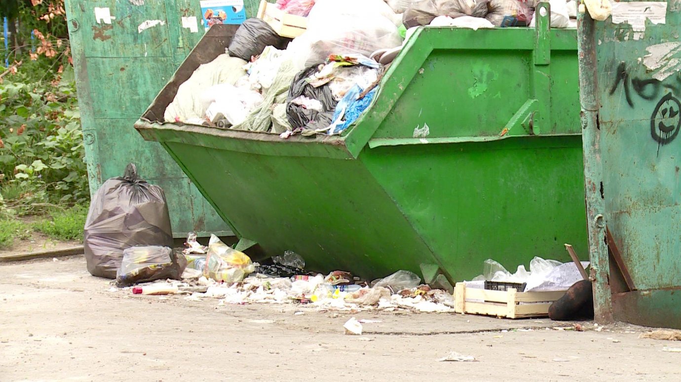 Контейнер для отходов на ул. Егорова переполнен несколько дней