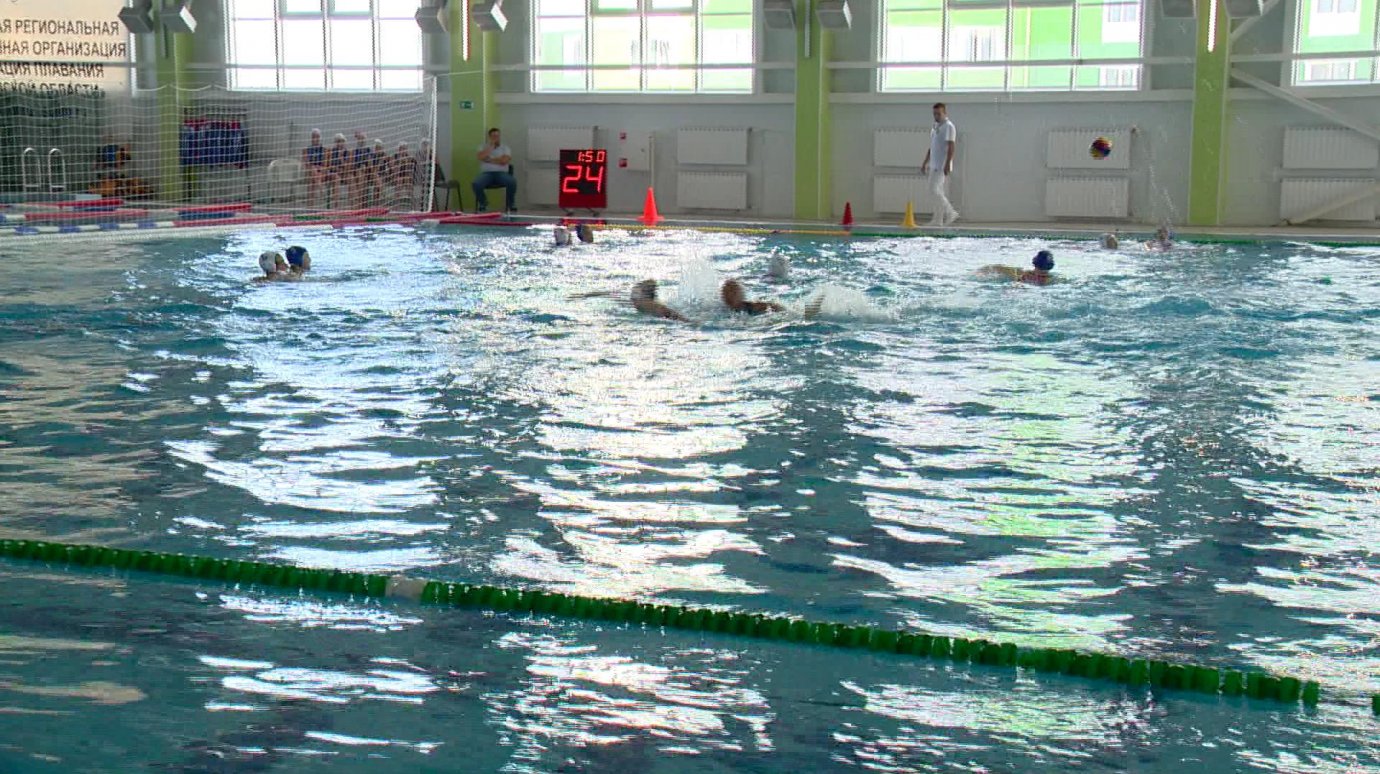В Пензу на соревнования по водному поло приехали сильнейшие команды