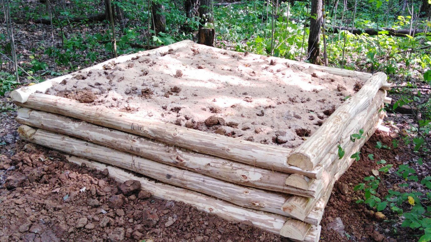 В пензенских лесах установили площадки для подкормки животных