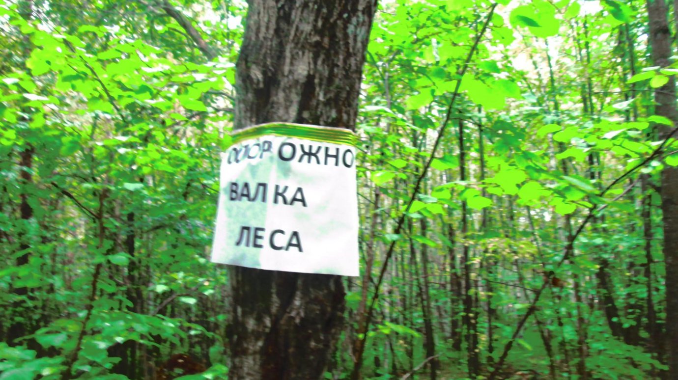 Жителя села Павловка накрыло деревом рядом с предупреждающей табличкой