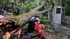 На Новозападном кладбище рухнувшее дерево смяло памятник