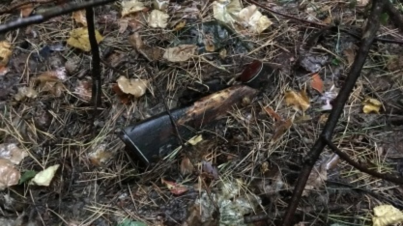 В Нижнеломовском районе найден скелет пропавшего в 2015 году пензенца