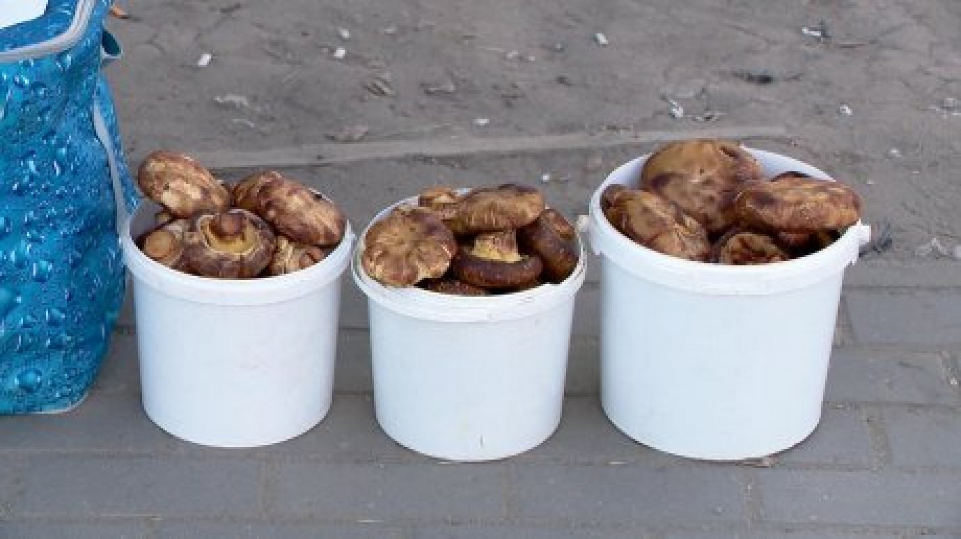 В Пензе депутаты обсудили, что делать с торгующими грибами бабушками