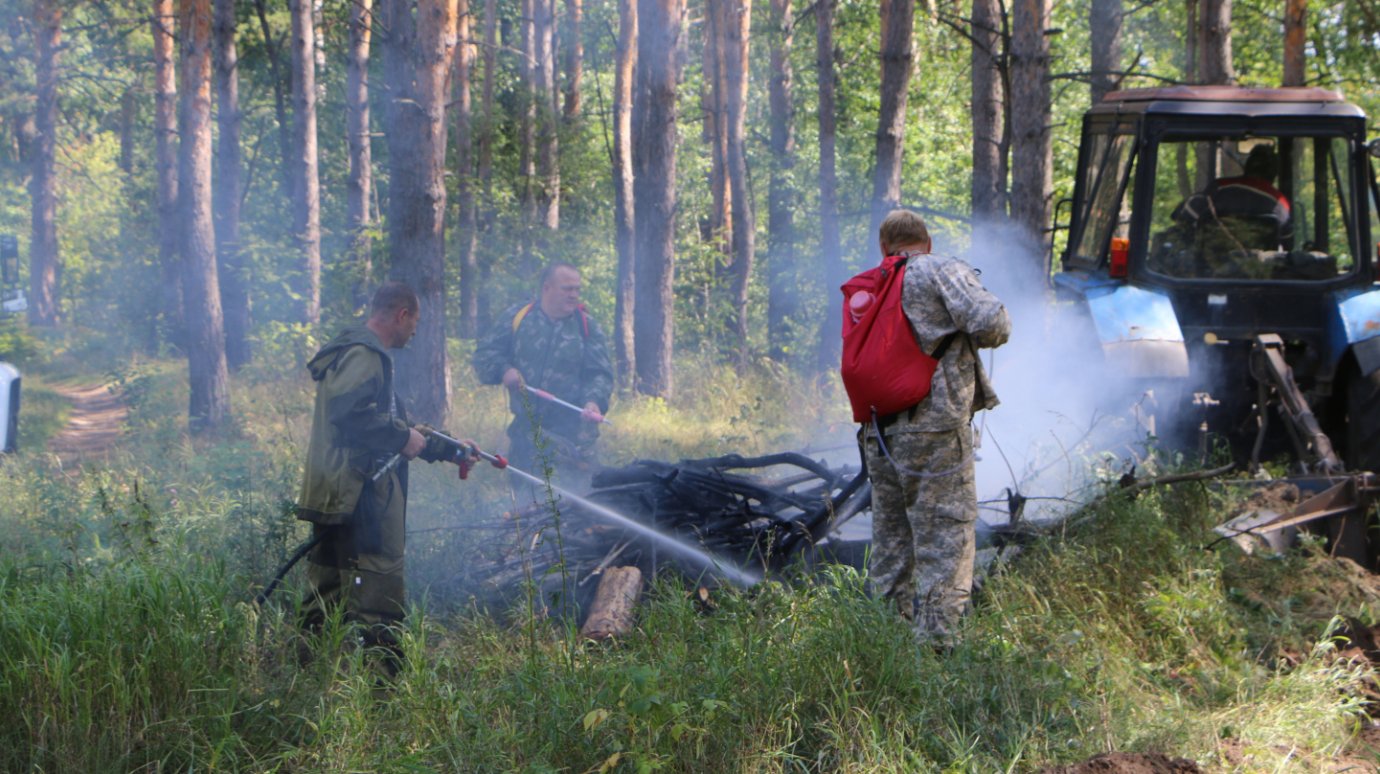 В Кузнецком районе огонь уничтожил полгектара леса