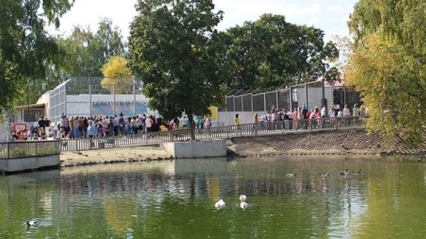 В день открытых дверей Пензенский зоопарк посетили 36 тысяч человек