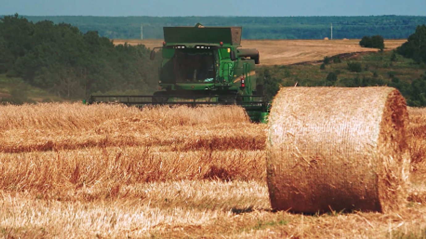 В Пензенской области ГК «Дамате» завершила уборку пшеницы