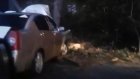 У Новозападного кладбища в Пензе автомобиль врезался в дерево