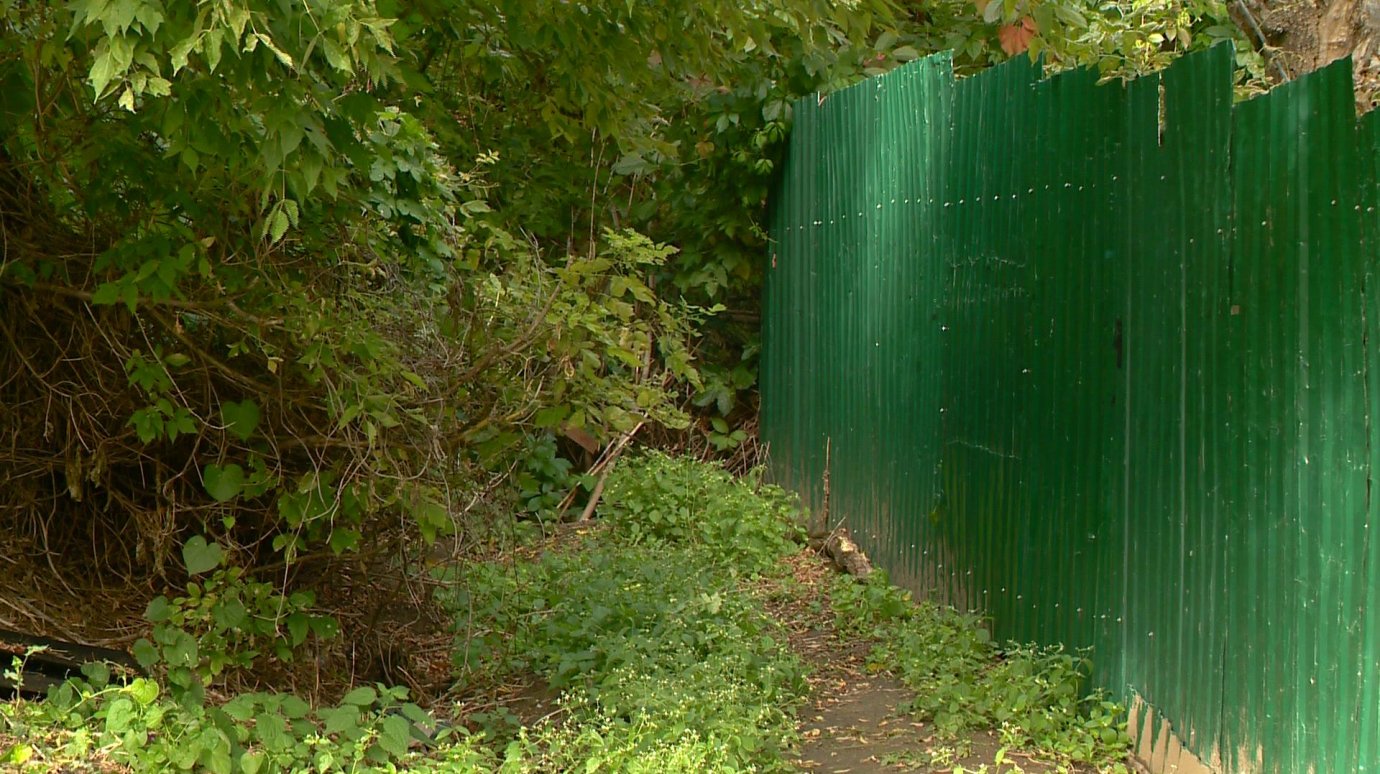 В Пензе владелец особняка перекрыл забором соседскую тропу к роднику
