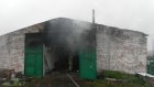 В Пачелмском районе сгорел коровник, погибли животные и сторож
