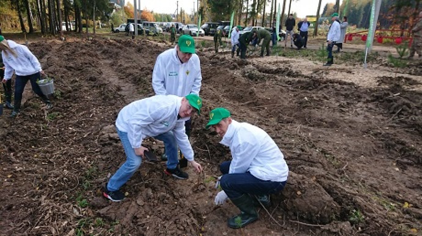 Главный лесничий Пензенской области посадил сосны и липы в Подмосковье
