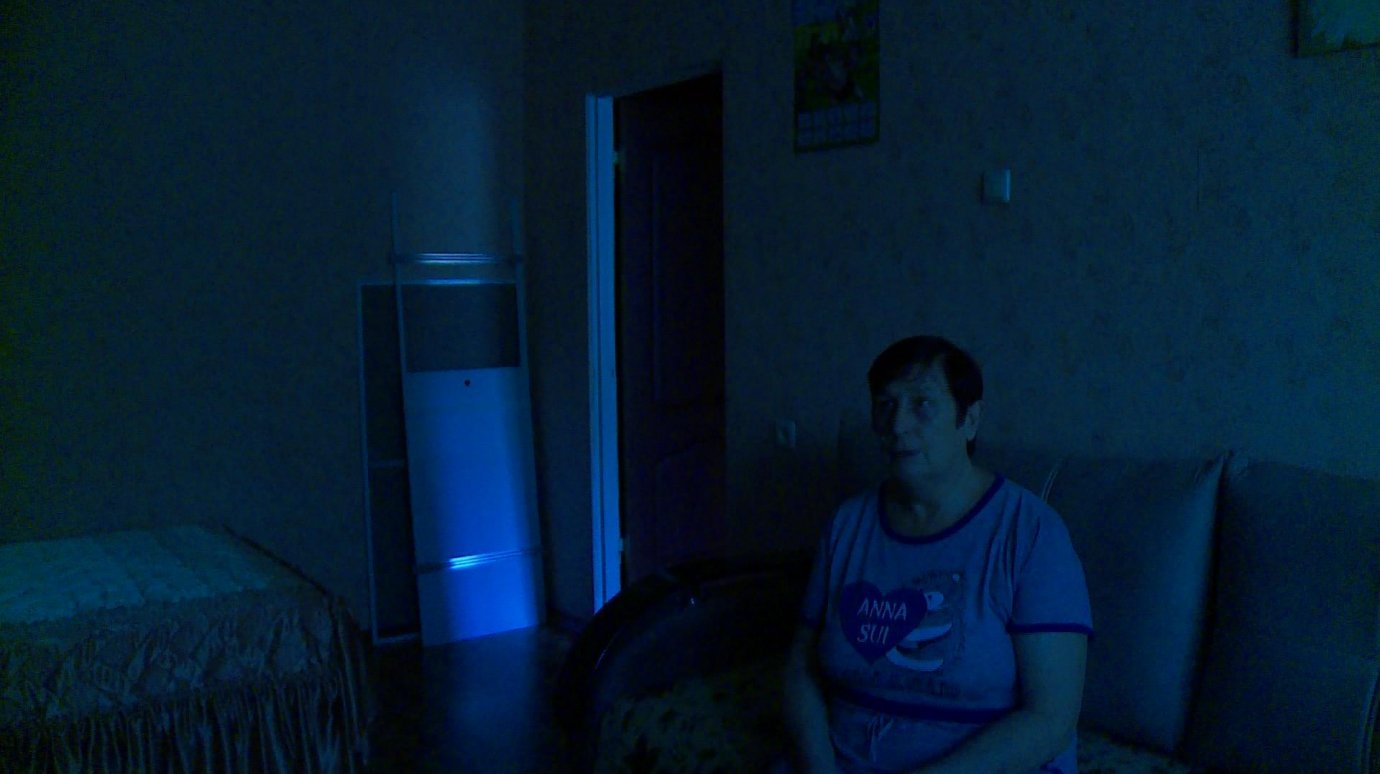 Ветвистые березы превратили квартиру на улице Бородина в темницу