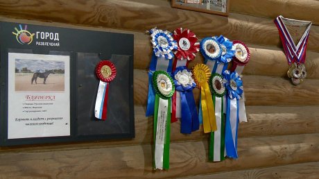 Подростки из Пензенской и Самарской областей посостязались в конкуре