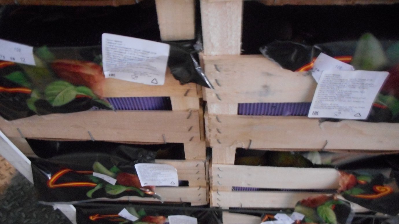 На полигоне в Чемодановке раздавили более двух тонн польских груш