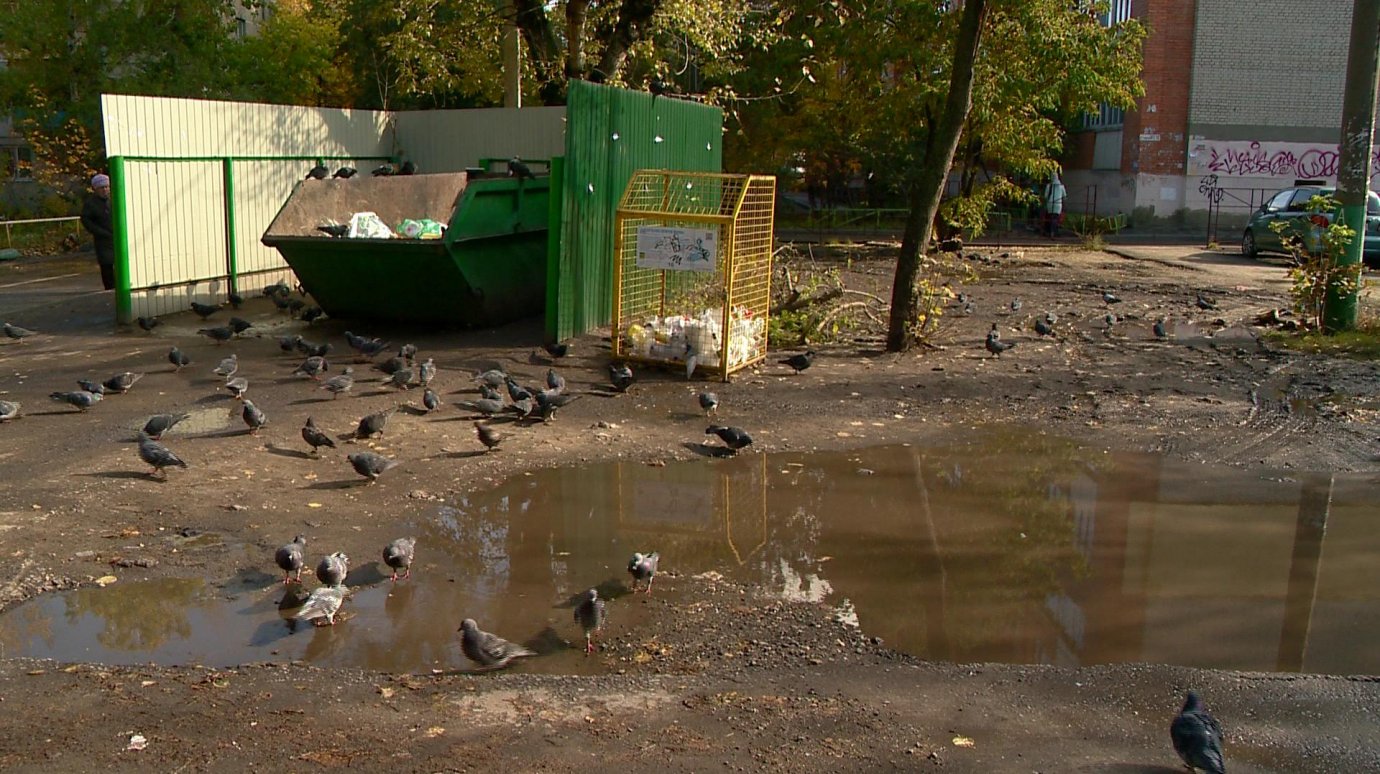 Жители ул. Кулакова в дождь не могут подойти к мусорной площадке