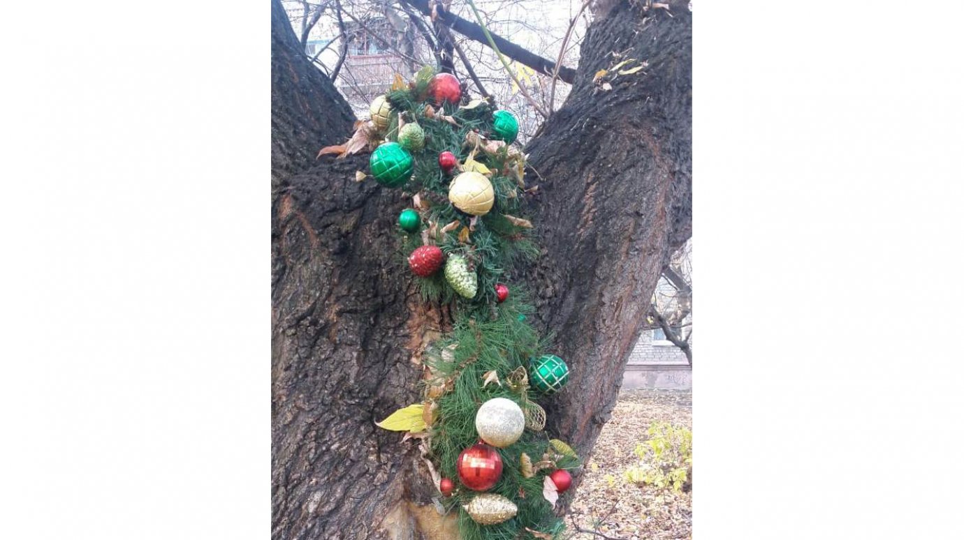 На улице Чехова пензенцы нарядили дерево к Новому году