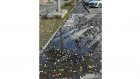 Тротуар на улице Суворова в Пензе поглотила грязь
