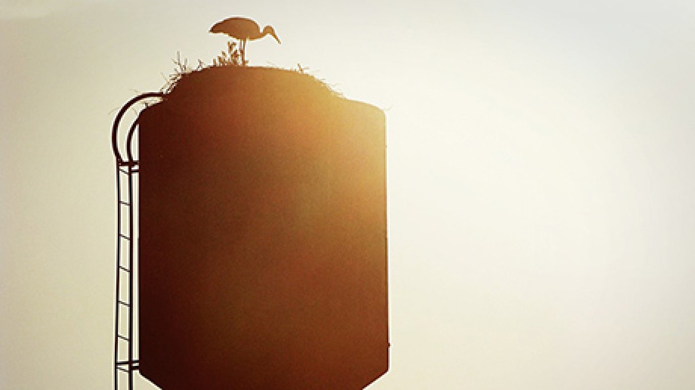 В Камешкирском районе добычей вора стала водонапорная башня