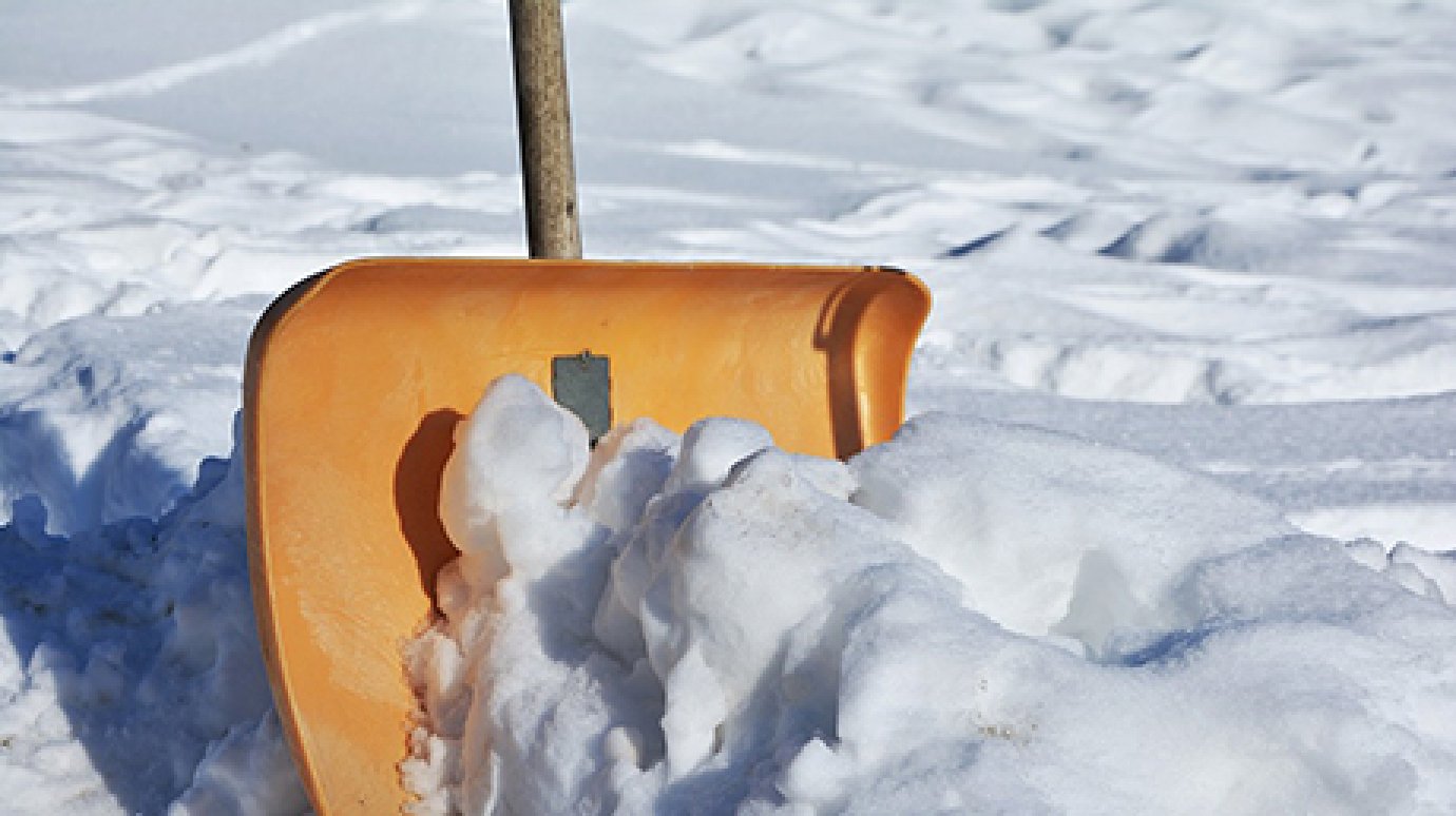 Пензенцев вновь будут привлекать к уборке дворов после снегопадов