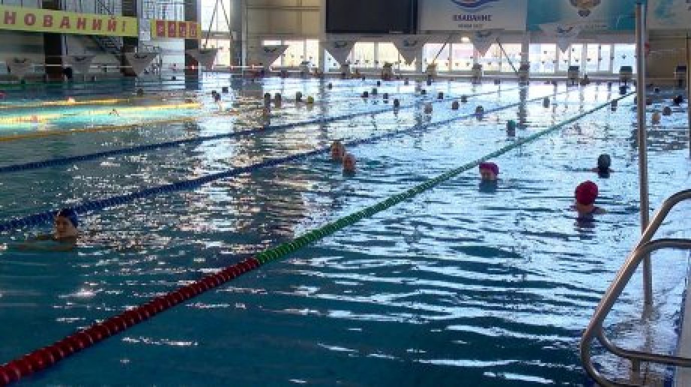 Пензенцев приглашают бесплатно поплавать в бассейне ДС «Олимпийский»