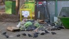 На ул. Карпинского жители жалуются на раскиданный у контейнеров мусор