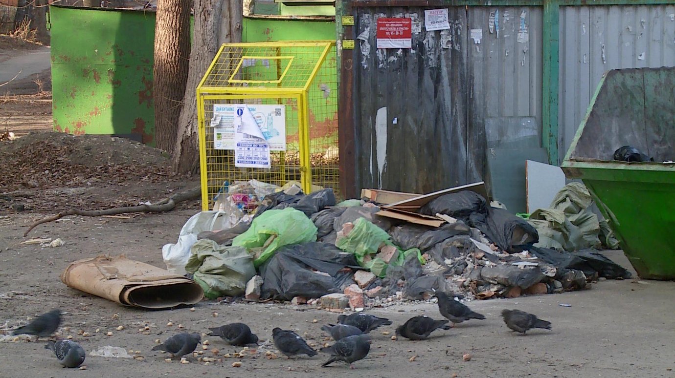 На ул. Карпинского жители жалуются на раскиданный у контейнеров мусор