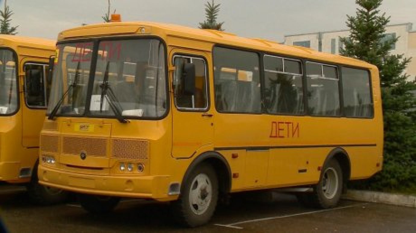 Прокуратура добилась выделения автобуса для тамалинской спортшколы