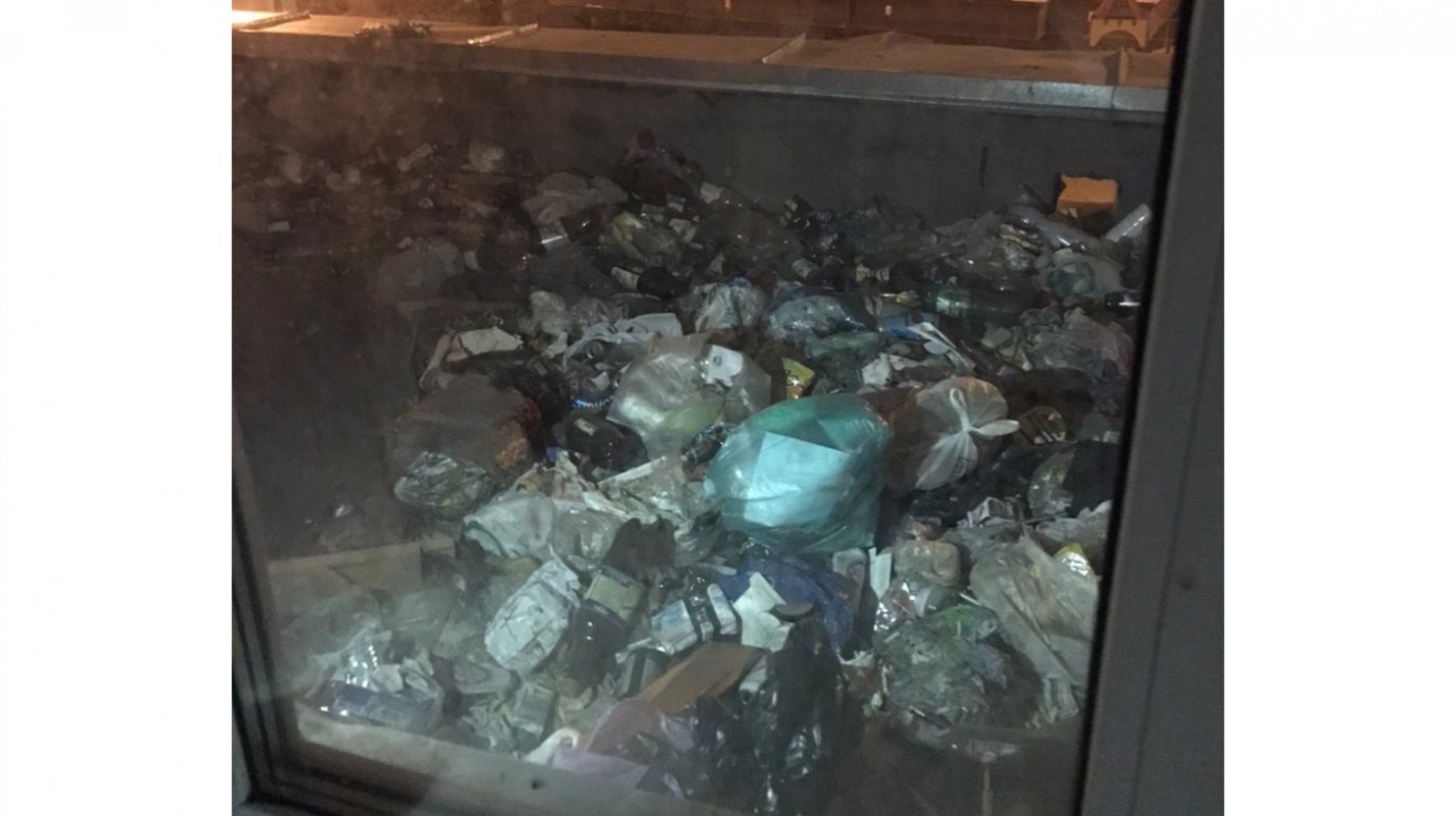 На Шуисте в Пензе мусорным контейнером стал подъездный козырек